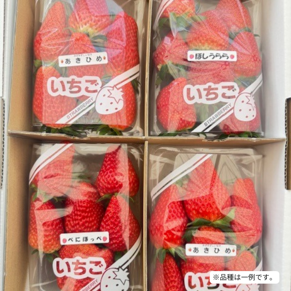 【送料込み】山梨県産 いちご４パック（３種類食べ比べ）１箱　※2月中旬～5月中旬順次発送