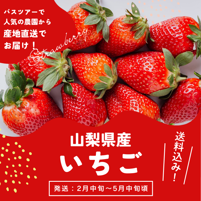 山梨県産いちご