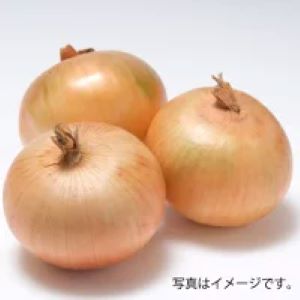 〈送料込〉産地直送 北海道富良野産 Ｔ1玉ねぎL大サイズ５kg 着日指定不可（9月下旬より発送開始）※産地直送の為 他の商品の同梱は出来ません。
