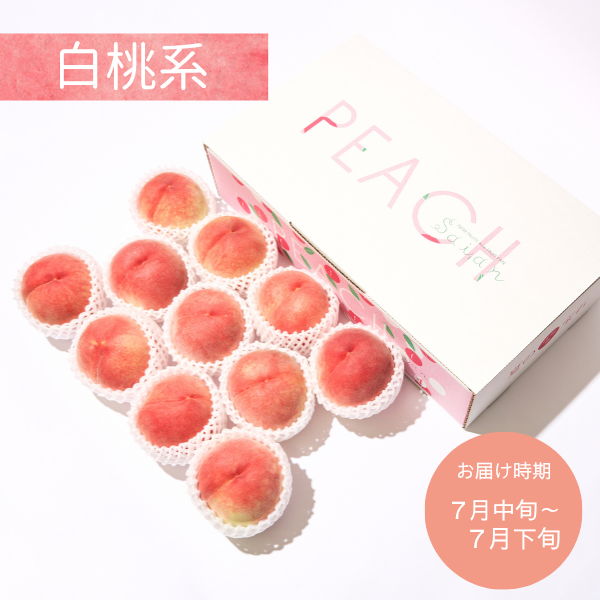 【送料込み】山梨県産　桃（白桃系／9個～12個入り）※2026年7月中旬から順次発送