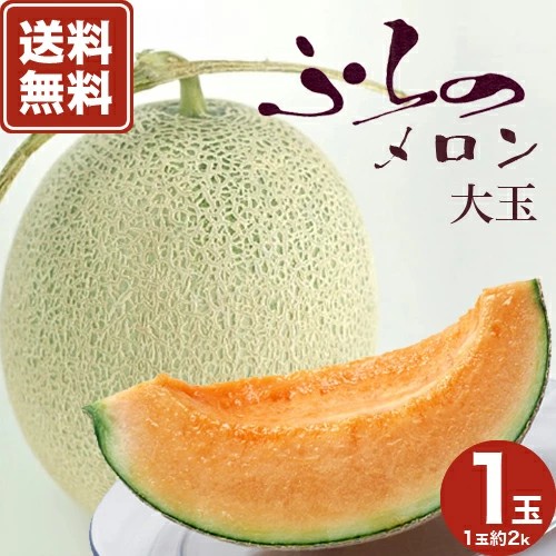 【送料無料】ふらのメロンＸL（2kg)1玉入 北海道富良野産　※ほかの商品と同梱できません。 着日指定不可 （予約販売期間6月30日まで）北海道 ご当地 赤肉 果物 フルーツ ギフト 贈り物 プレゼント 野菜 グルメ お取り寄せ