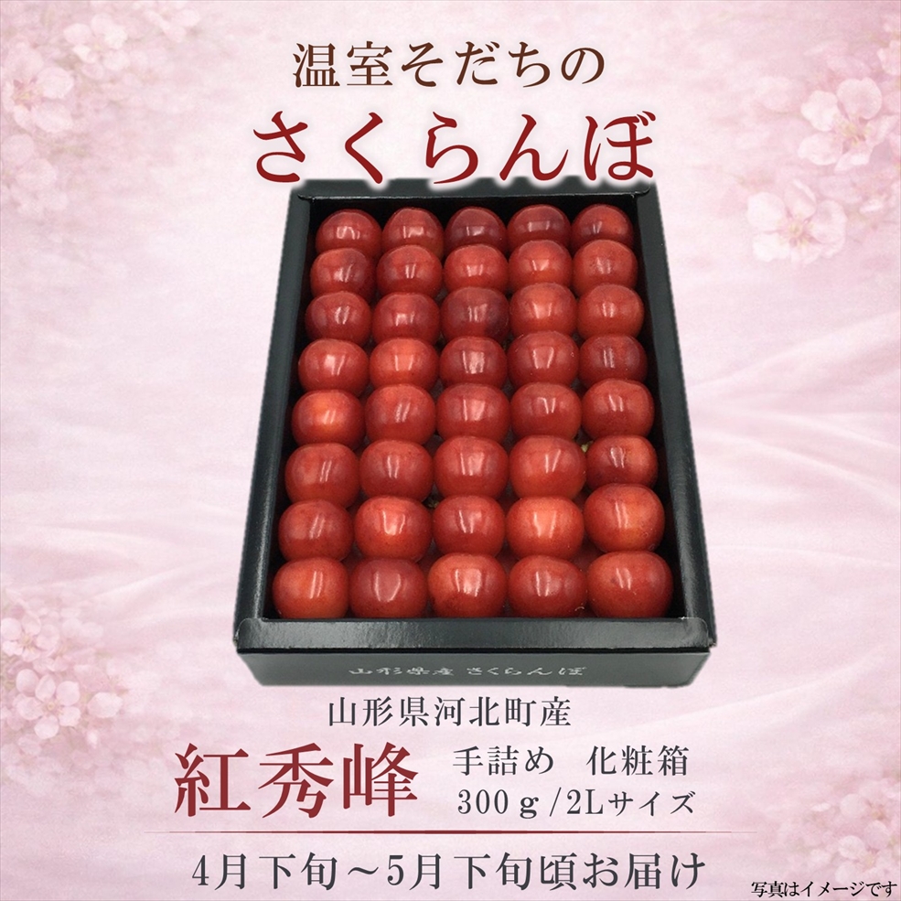 【送料無料】温室さくらんぼ 紅秀峰 300g 手詰化粧箱  2Lサイズ 着日指定不可（4月下旬頃から発送開始）※産地直送のためほかの商品と同梱できません