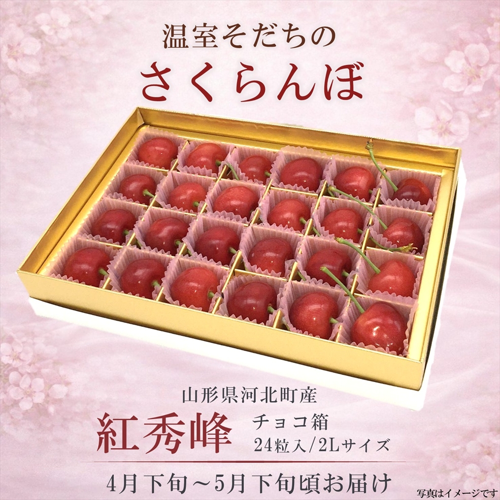 紅秀峰　さくらんぼ　温室