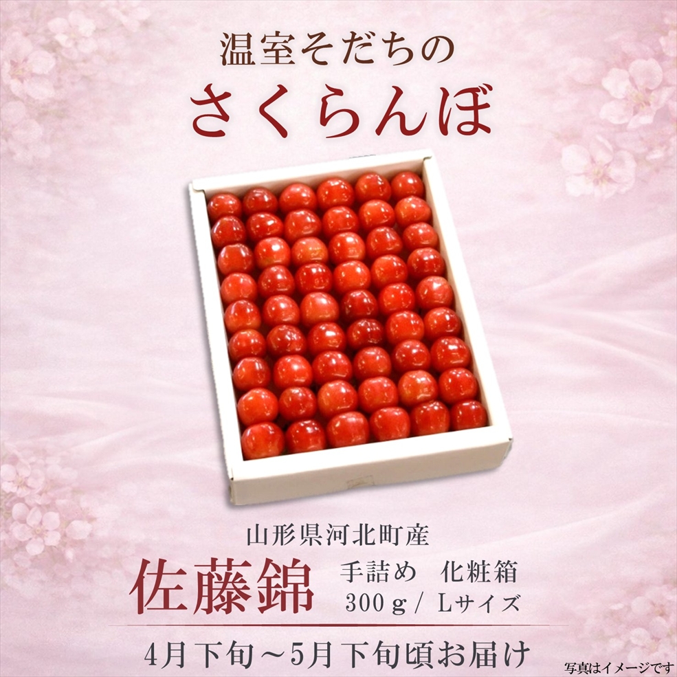 さくらんぼ　温室