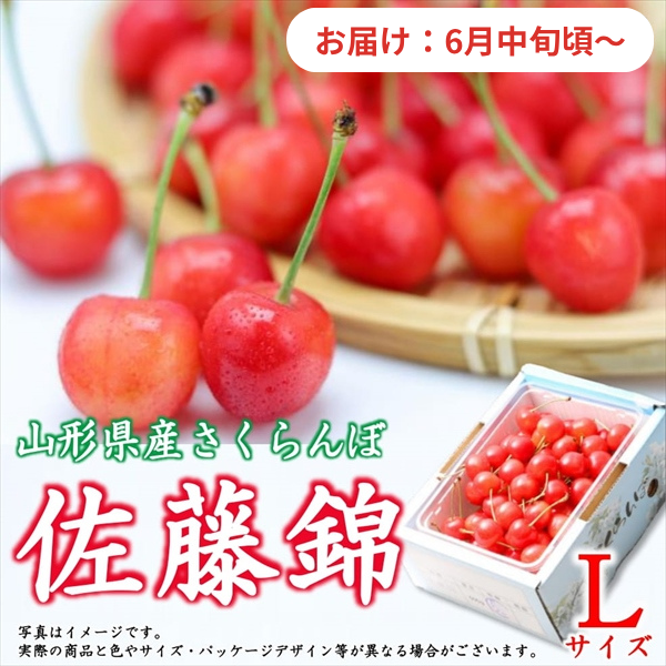 さくらんぼ　佐藤錦