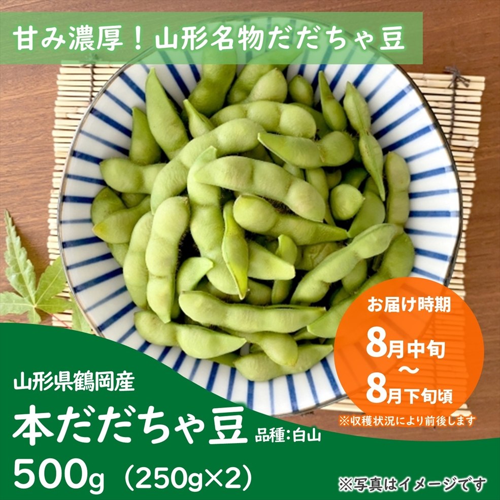 【送料無料】山形県鶴岡産　本だだちゃ豆 　品種：白山　500g　 着日指定不可（8月中旬～8月下旬頃発送開始予定）※産地直送のためほかの商品と同梱できません