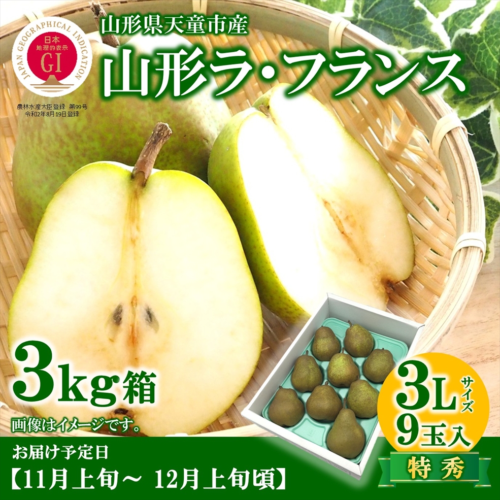 【送料無料】山形県天童市産ラ・フランス 3㎏箱　3Lサイズ 9玉　着日指定不可（11月上旬から12月上旬頃発送予定）※産地直送のためほかの商品と同梱できません