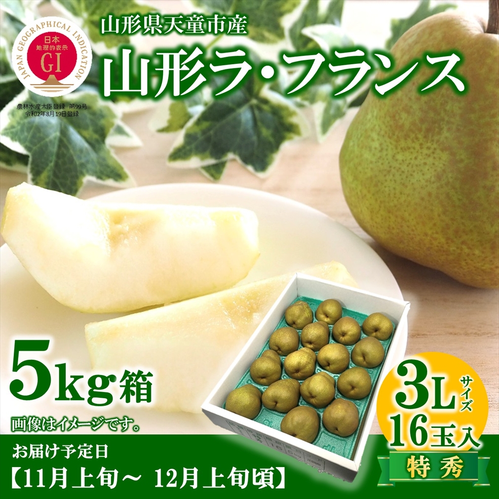 【送料無料】山形県天童市産ラ・フランス 5㎏箱　3Lサイズ 16玉　着日指定不可（11月上旬から12月上旬頃発送予定）※産地直送のためほかの商品と同梱できません