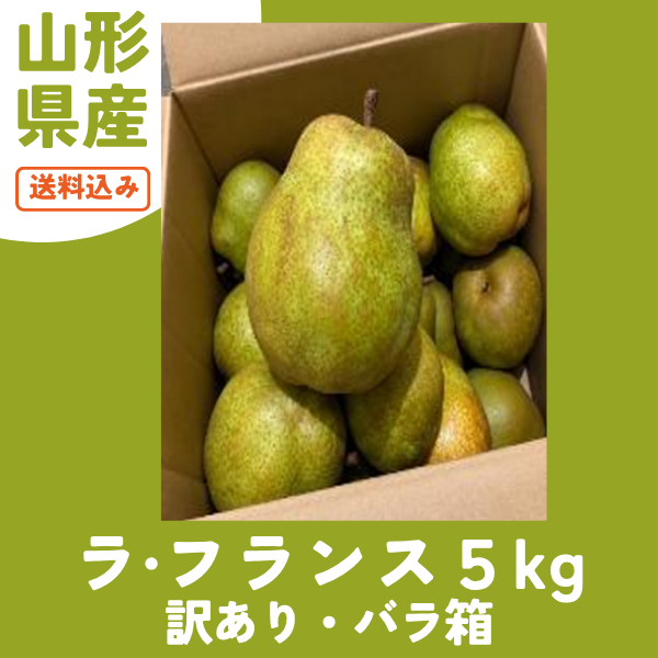 【送料無料】＜なかのふぁ～む＞山形県東根市産　訳あり・バラ箱　ラ・フランス５kg（ご自宅用／サイズ不揃い／13玉前後※多少傷あり）