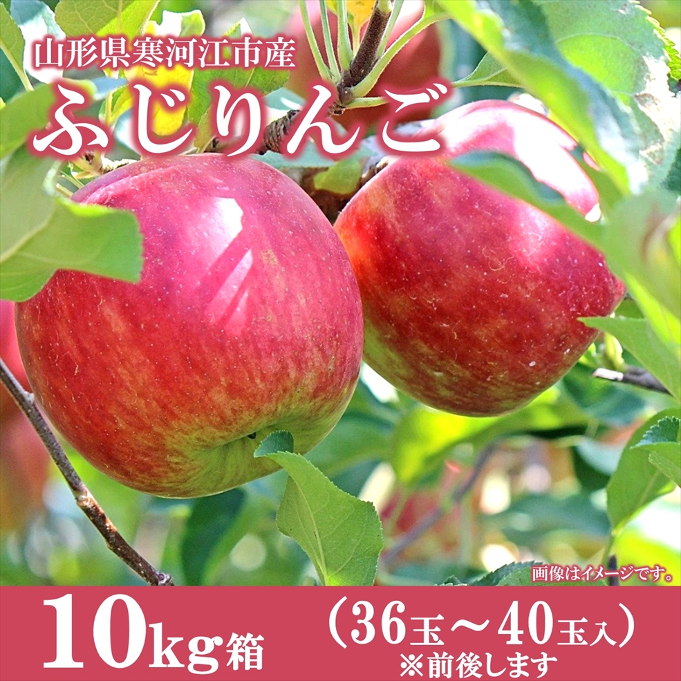 【送料無料】山形県寒河江市産ふじりんご 10㎏箱　36～40玉　着日指定不可（11月下旬から12月下旬頃発送予定）※産地直送のためほかの商品と同梱できません